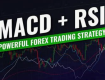 Using MACD and RSI for Stock Trading: A Guide to Understanding Momentum Indicators