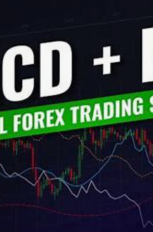 Using MACD and RSI for Stock Trading: A Guide to Understanding Momentum Indicators